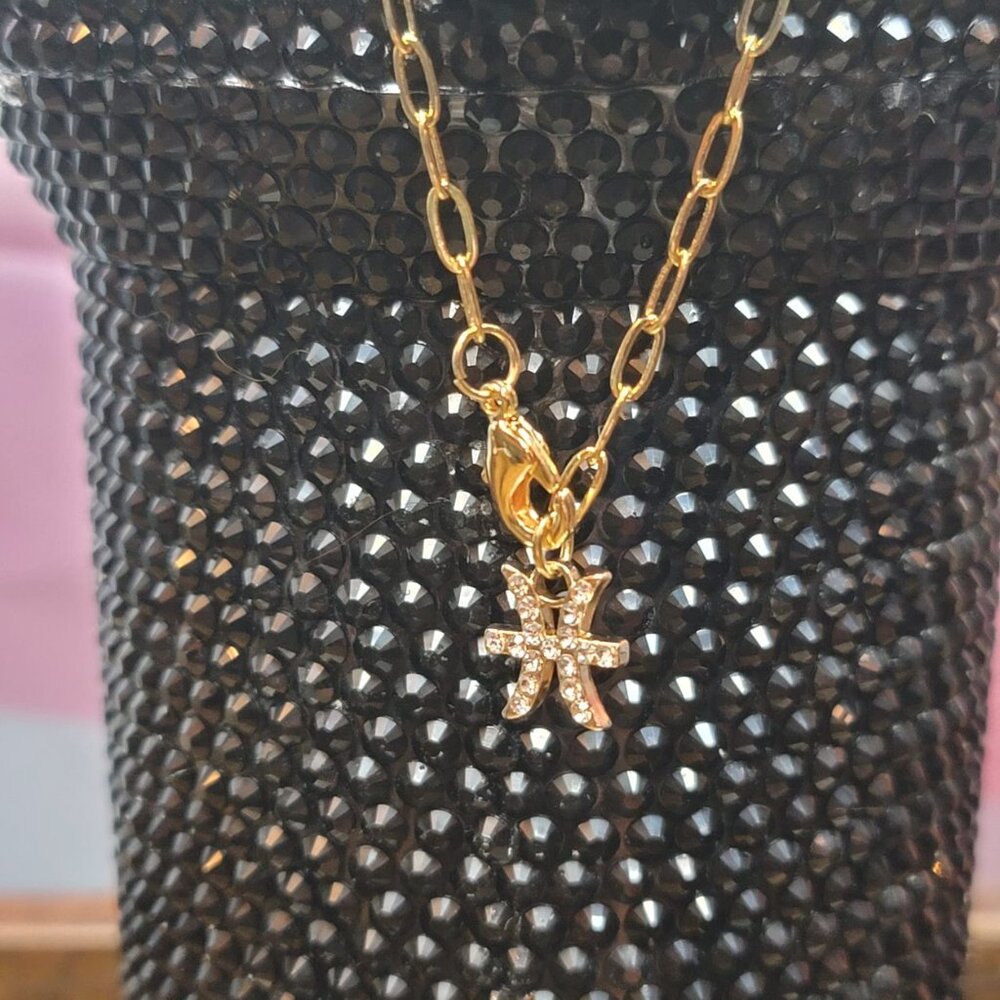 Pisces Zodiac Tumbler Charm - Picture 3 of 5